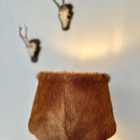 Апартаменты Schofer Eck - Fewo-badhindelang Бад-Хинделанг